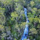 Aerial view of a narrow blue stream winding through dense green forest