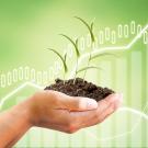 Hand holding Sprout tree with growing graph of financial or Market share or sale income diagram on beautiful green abstract background