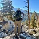 Hugh Safford stands with back to camera, hands on hips, overlooking mountains and forests searching for Jeffrey pine