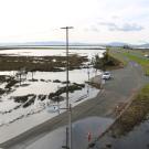 Partially flooded coastal road with parked car, marshland and utility pole