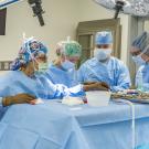 UC Davis Veterinary Medical Teaching Hospital has opened the Center for Advanced Veterinary Surgery. Veterinary surgeons and technicians stand in front of a table with surgical tools at the center, which offers state-of-the-art operating rooms for orthopedic surgeries. (UC Davis School of Veterinary Medicine)