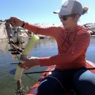 MJ MJ Farruggia samples water in an alpine pond