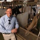 Matthias Hess, with the UC Davis Department of Animal Science, is shown here in the UC Davis dairy in front of a line of dairy cows in their feeding stalls..  He and researchers at UC Berkeley have identified which microbes in a cow's gut could help reduce methane. It brings them a step closer to engineering gut microbes to create more climate-friendly cows. (Gregory Urquiaga / UC Davis)