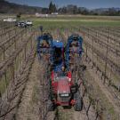 wine mechanization