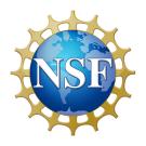 Blue earth globe surrounded by a gold ring with spikes facing out. The letters NSF in white across the globe. 
