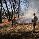 An orange flame circles a meadow with smoke as six people stand scattered throughout a wooded property during prescribed burn