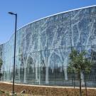 Curved glass building with white tree-like patterns, small street trees and blue sky. UC Davis celebrated the opening of the Resnick Center for Agricultural Innovation on Tuesday, May 19, 2026. (TJ Ushing / UC Davis)