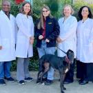 Group of people, many in labcoats, pose for photo with dog