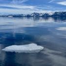 Ice floats atop Lake Tahoe