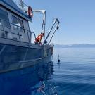 Female scientist lowers a Secchi disk from a research boat into Lake Tahoe to measure lake clarity.