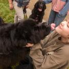 Student pets a fluffy black dog