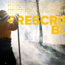 Woman in firefighting yellow shirt and hard hat holds hand to forehead against glare of sun and smoky woods during prescribed burn