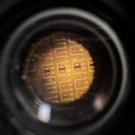 Microscope view of illuminated gold sensor showing a square grid 