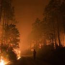 Firefighter seen in front of a blazing wildfire