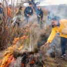 Beth Rose Middleton Manning and students conduct Indigenous burn in Woodland CA