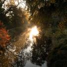 A person walks through the Arboretum at sunset. 