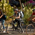 Bicyclists on campus