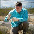 Man in field, holding small desert tortoise