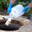 A bottle pouring a water sample into a tube