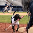 Cori the dog carries a baseball bat toward the outstretched hand of Lisa Tell.