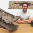 Man at table with fossil display