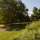 a group of people walking around Lake Spafford in the Arboretum