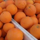 A pile of oranges overflowing a food bin