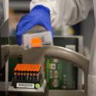 Photo of gloved hand holding a block of test tubes