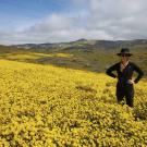 Marina LaForgia posing in a field of flowers