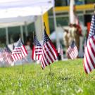 American flags planted in green grass near white tents at an outdoor event
