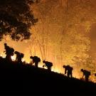 Firefighters seen in silhouette against bright flames at night.