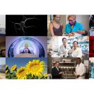 Collage of 12 images depicting different kinds of research arranged in a grid. 