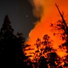 Nighttime view of forest, with orange fire on right side of photo