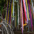 Streamers descending from trees next to sculpture in Manetti Shrem Museum of Art courtyard