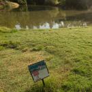 Arboretum Waterway in background, sign in foreground