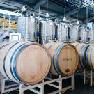 Winery, stainless steel tanks in back, barrels in front