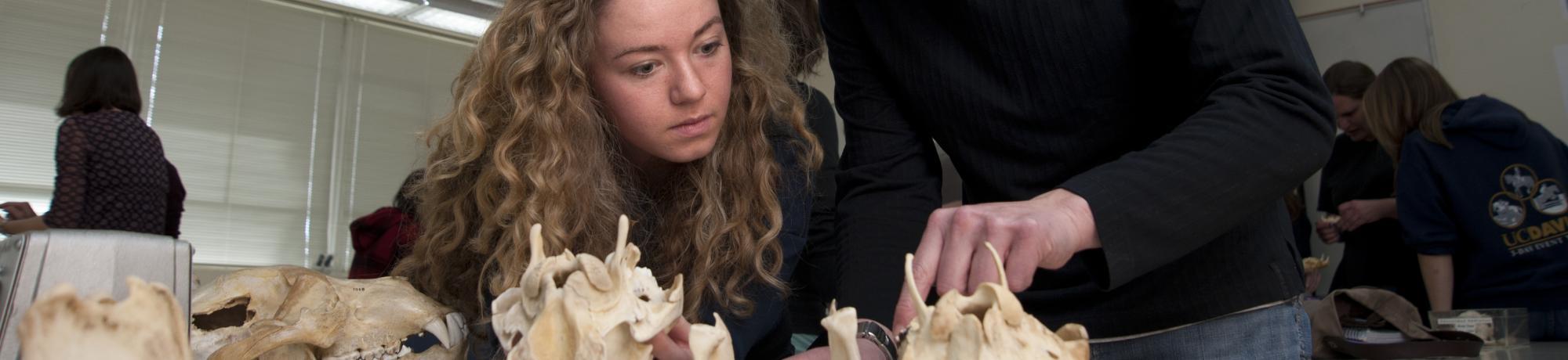 uc davis anthropology student studying bones