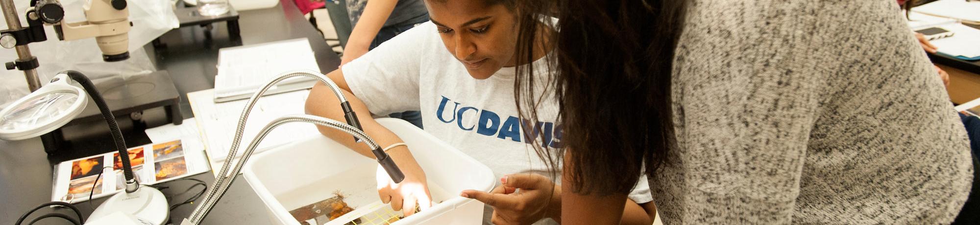 Students examine a biological sample