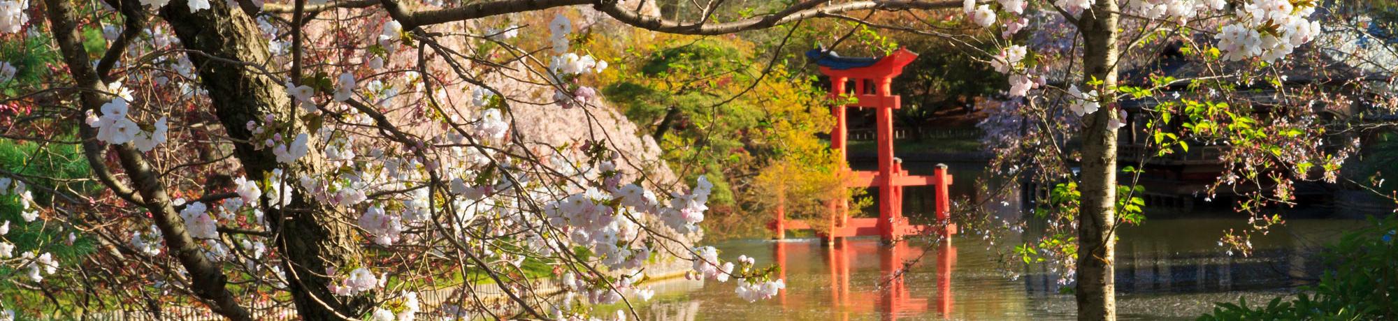 A shinto shrine reflecting in a pond