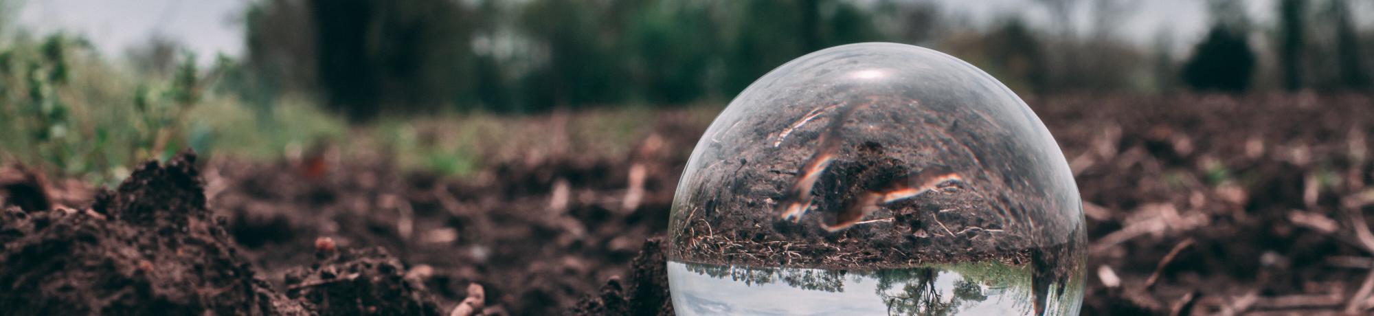 glass globe in soil