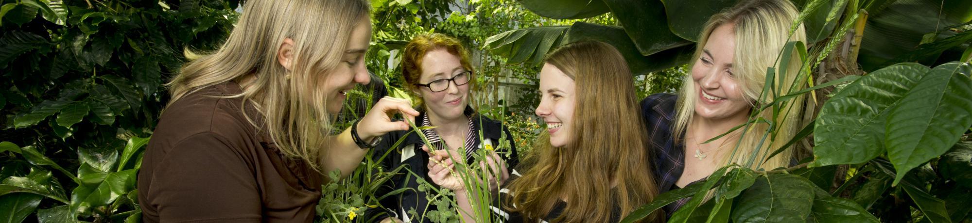 environmental horticulture and urban forestry students stand among plants 