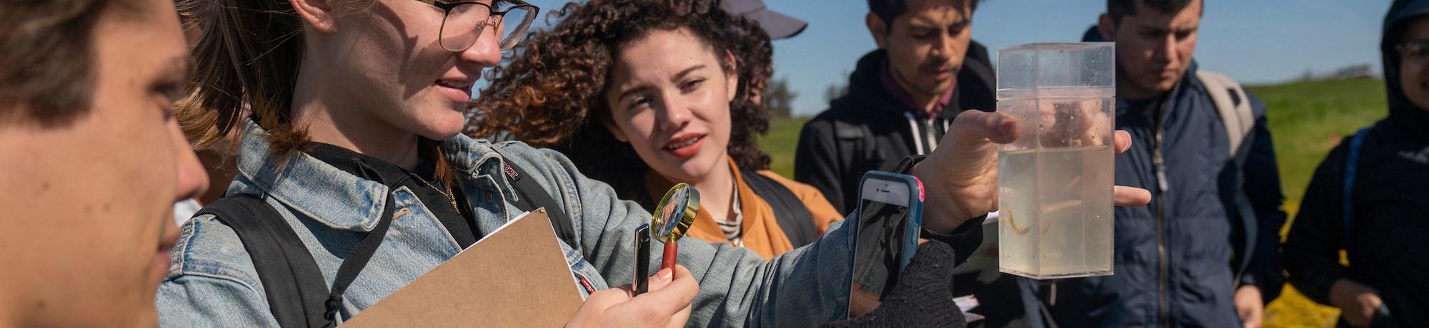 Students examine a field specimen