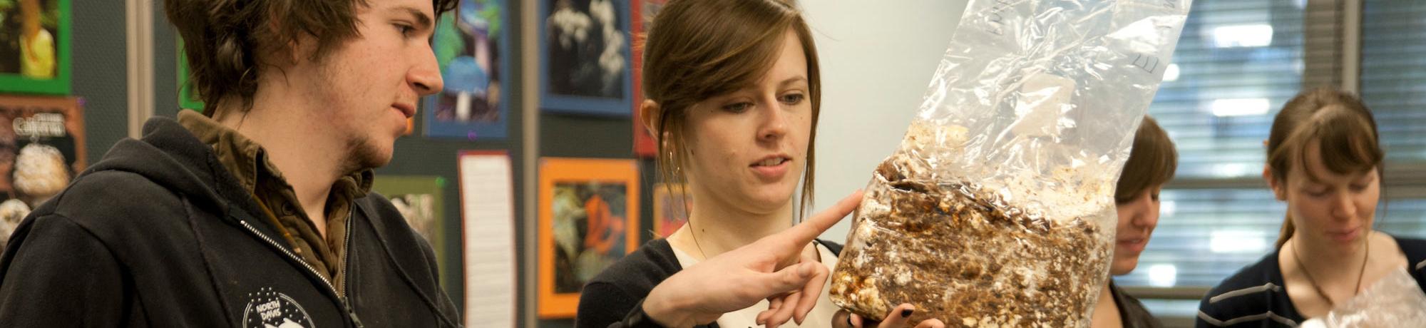 Two students examine a shitake mushroom starter bag