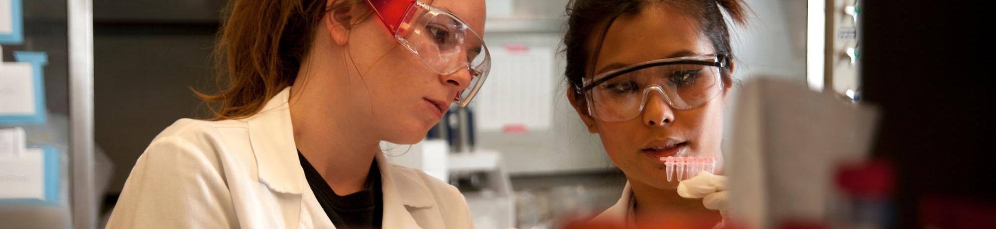 Two female researchers observing lab samples