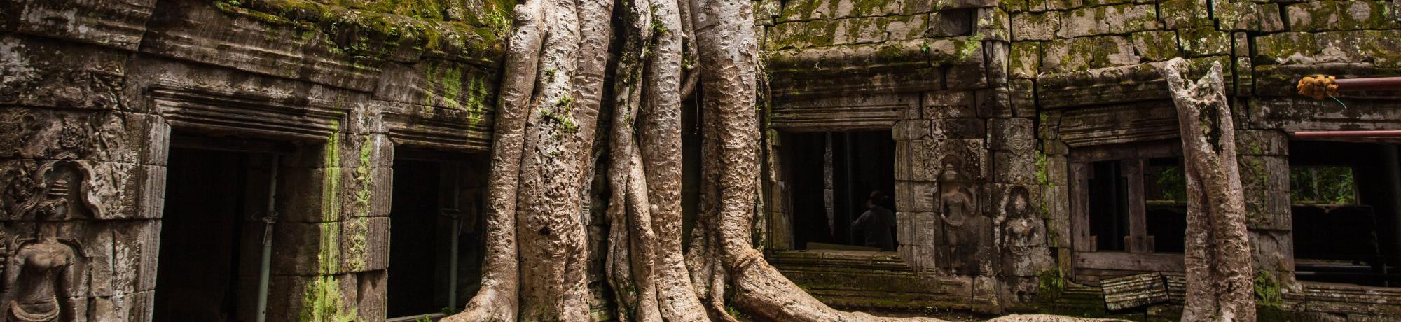 Ta Prohm Temple