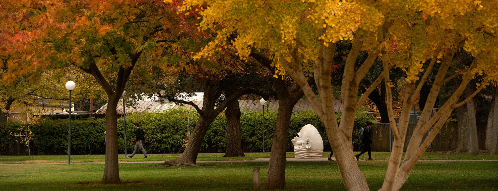 A student walks through Mrak Mall with fall colors all around him