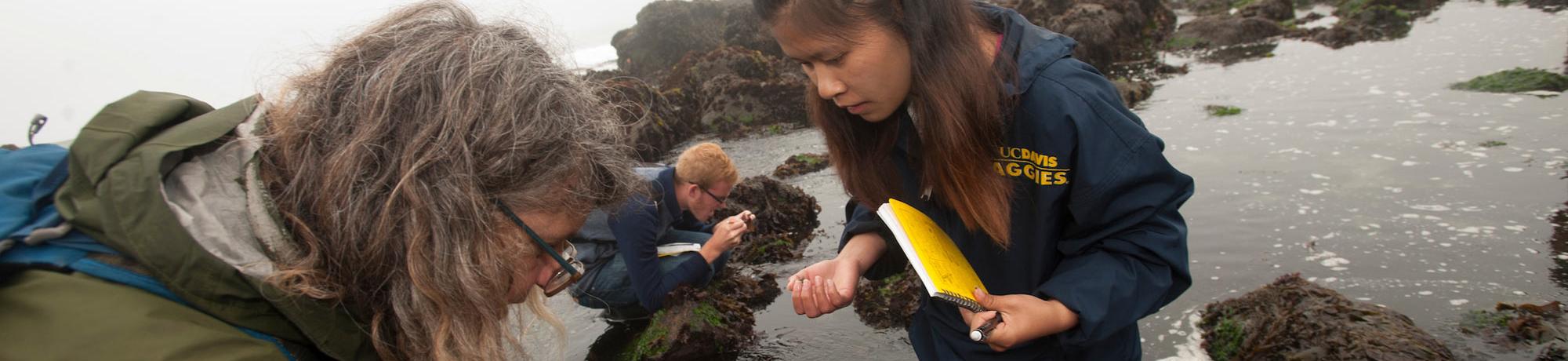 A student and her professor examine a sample collected from a tide pool at Bodega Bay Marine lab