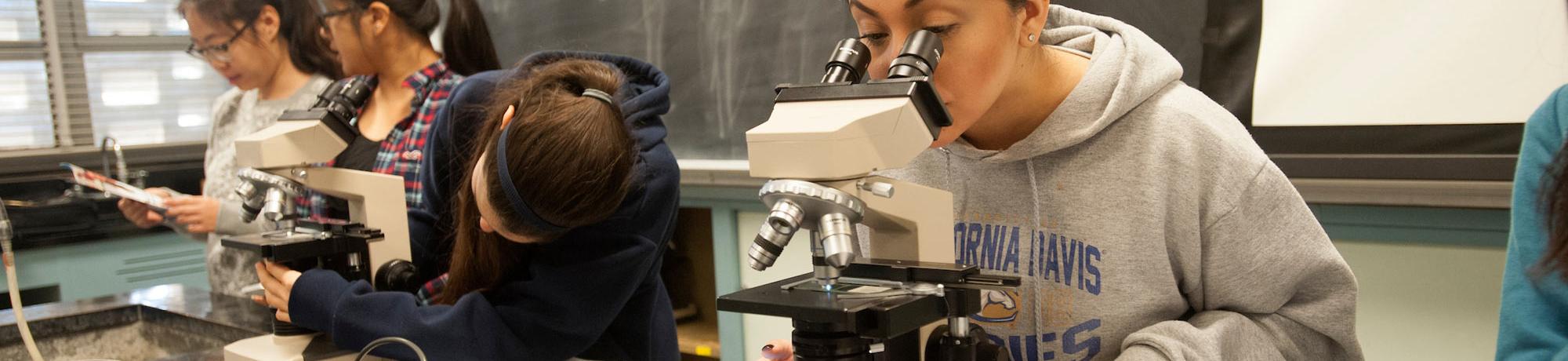 A student examines a plant specimen with a microscope