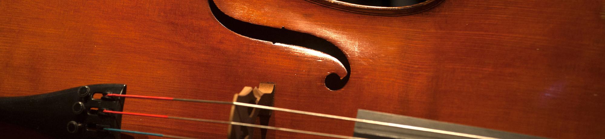 A string instrument close up