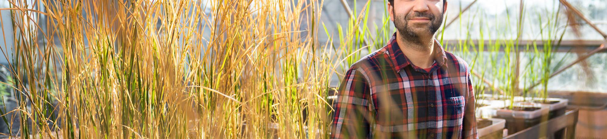 A male student poses with several grass samples 